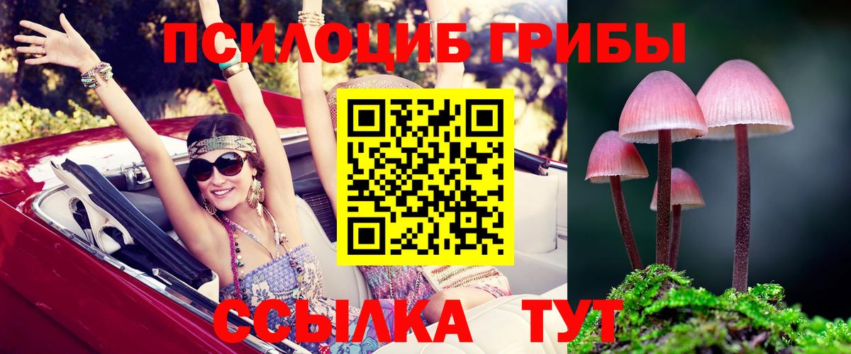 Псилоцибиновые грибы GOLDEN TEACHER Гурьевск
